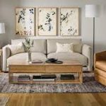small apartment living room sofa